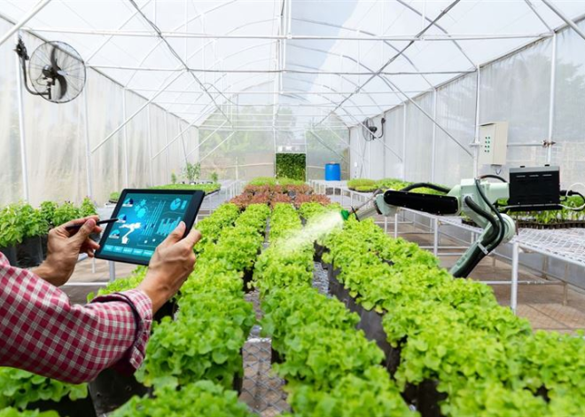 IoT Indonesia 2025 Sistem Canggih Awasi Lahan Gambut: Inovasi Mahasiswa Jadi Harapan Cegah Karhutla